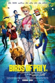 فيلم Birds of Prey 2020 مترجم