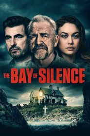 فيلم The Bay of Silence 2020 مترجم