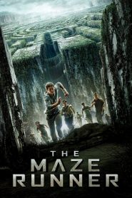 فيلم The Maze Runner 2014 مترجم